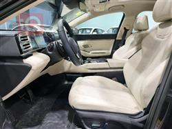 بي واي دي كوين L DM-i